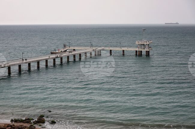 България предприема нови мерки за опазване на китоподобните бозайници в Черно море