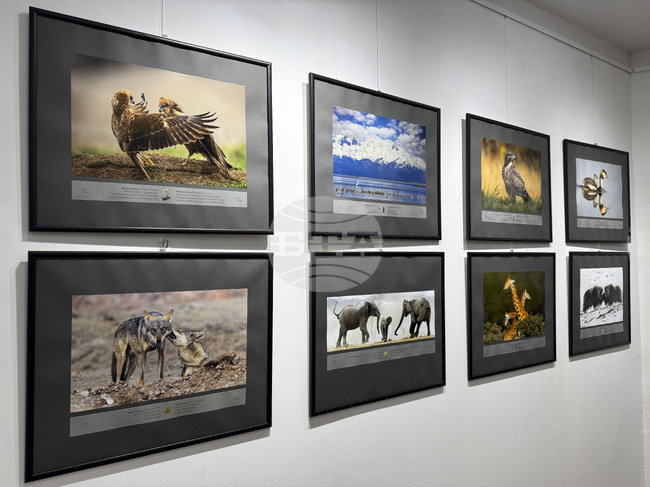 Exhibition of 12th International Photo Salon Plovdiv Opens at Museum of Photography in Kazanlak