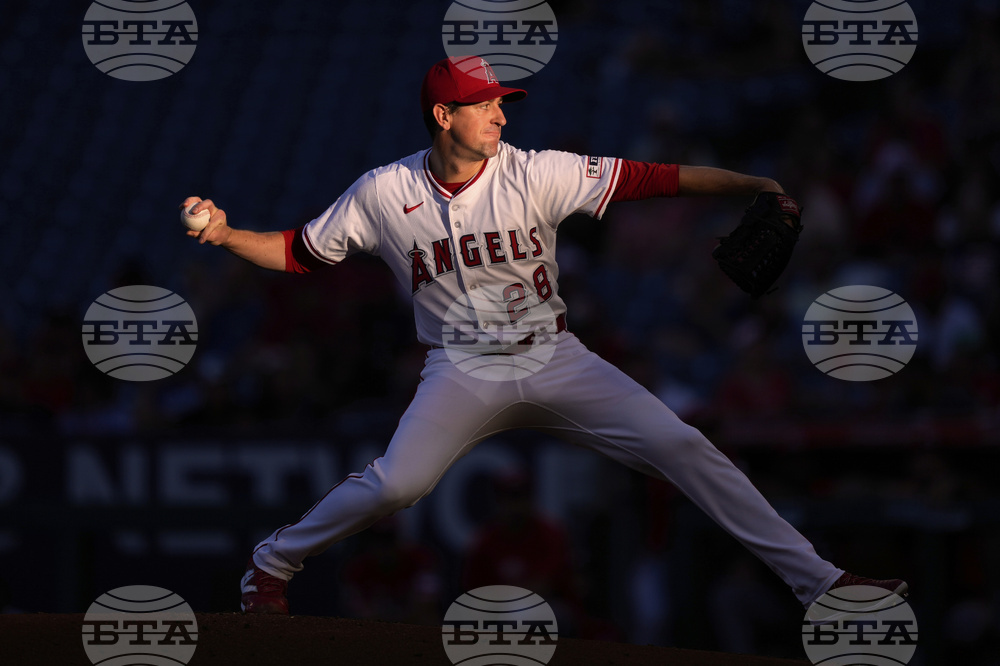 Reds Angels Baseball