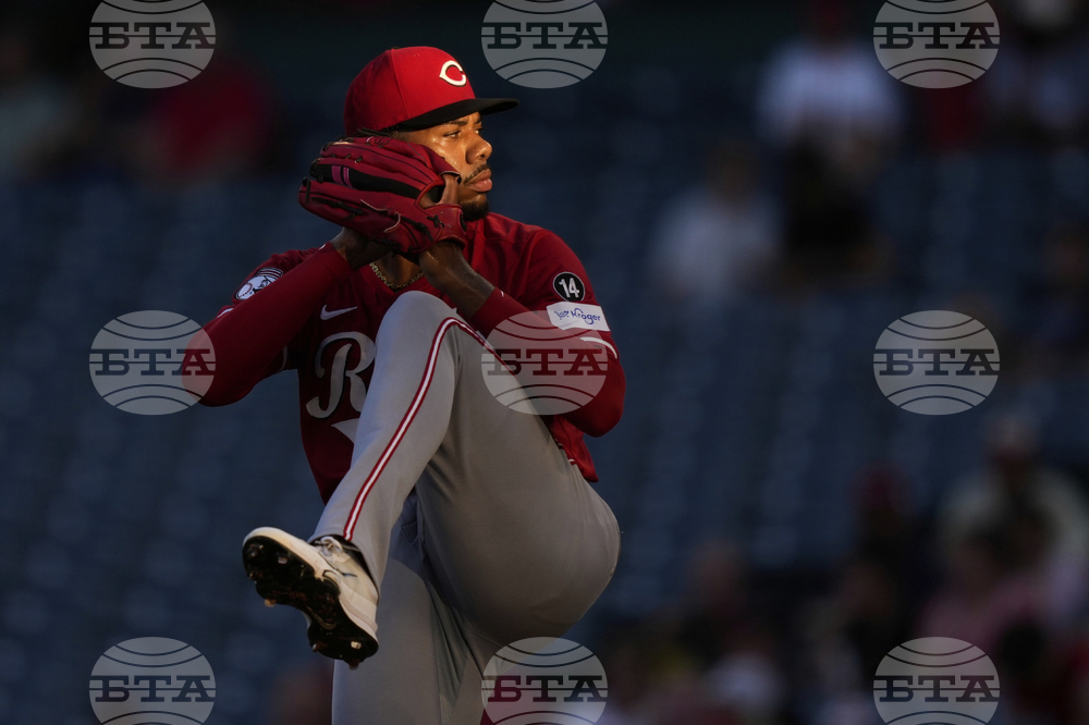 Reds Angels Baseball