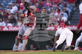 Reds Angels Baseball