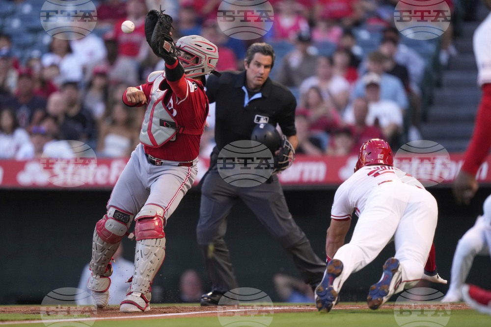 Reds Angels Baseball