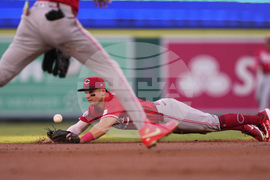 Reds Angels Baseball