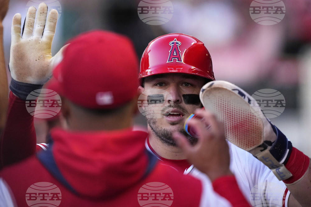 Reds Angels Baseball