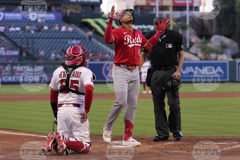 Reds Angels Baseball
