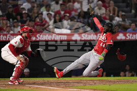 Reds Angels Baseball