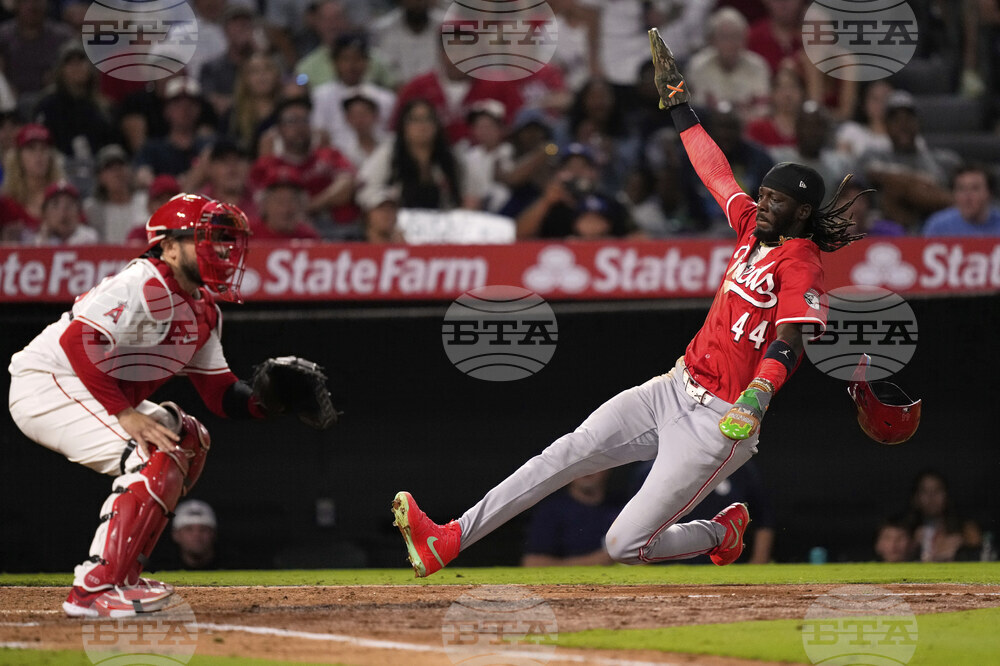 Reds Angels Baseball