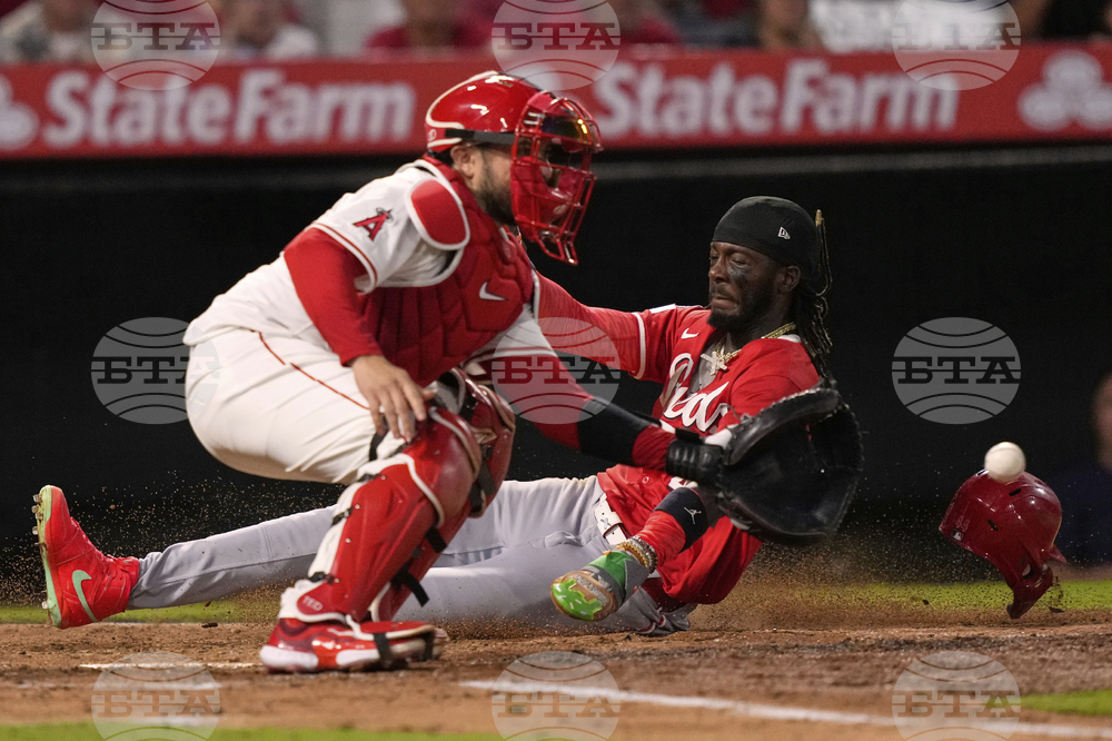 Reds Angels Baseball