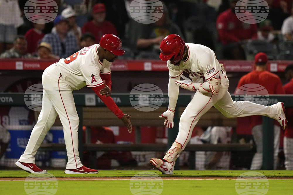 Reds Angels Baseball