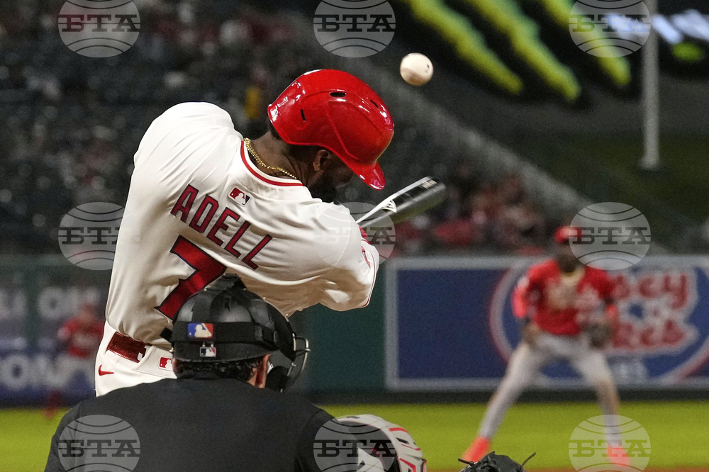Reds Angels Baseball