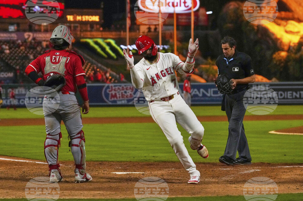 Reds Angels Baseball