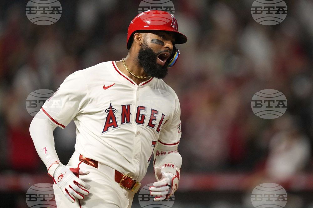 Reds Angels Baseball