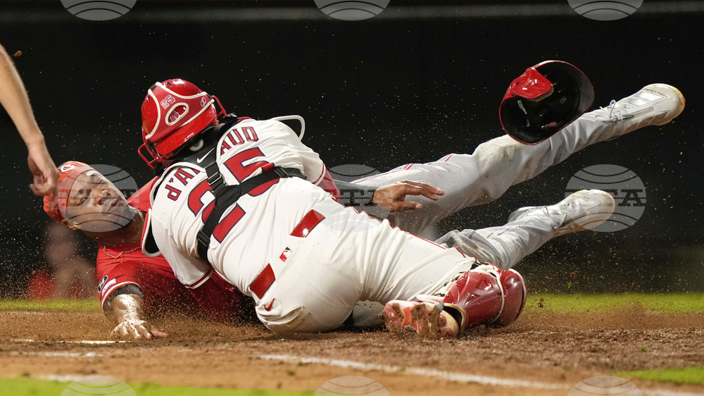 Reds Angels Baseball