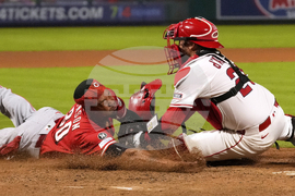 Reds Angels Baseball