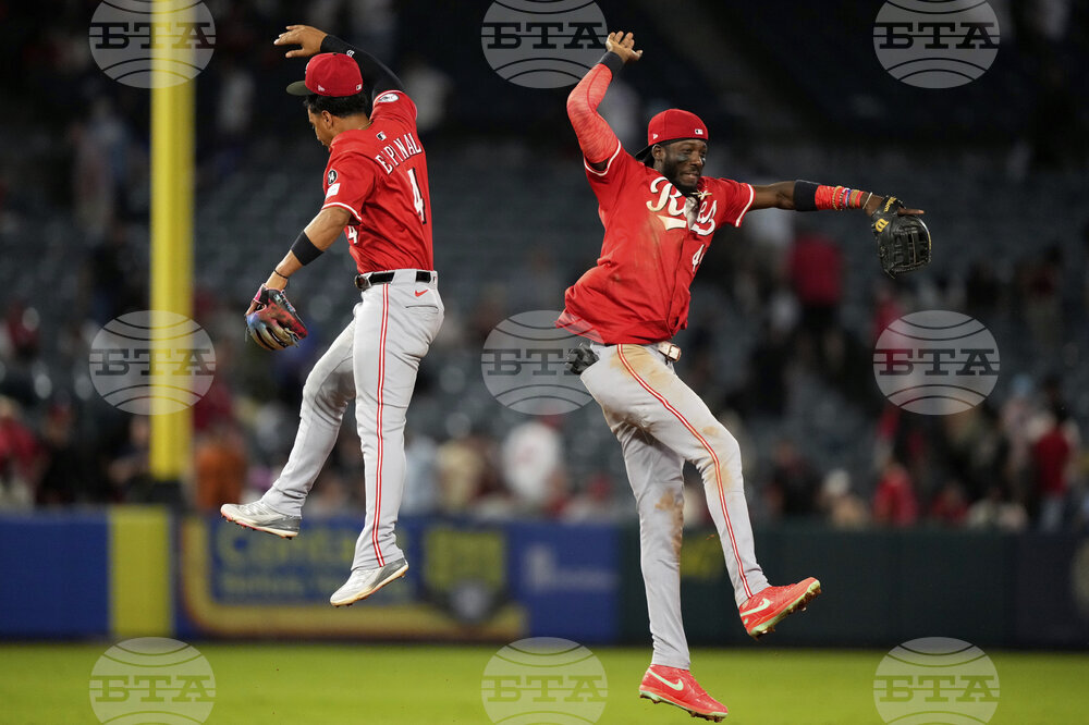 Reds Angels Baseball