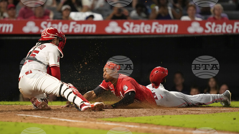 Reds Angels Baseball