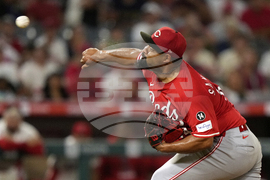 Reds Angels Baseball