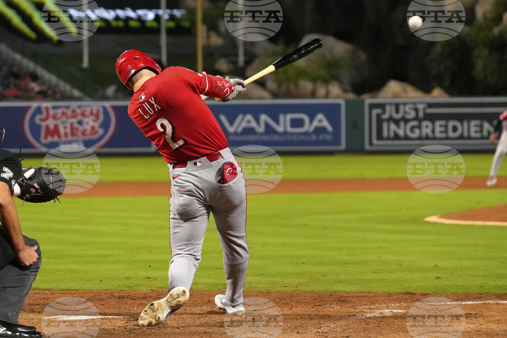 Reds Angels Baseball