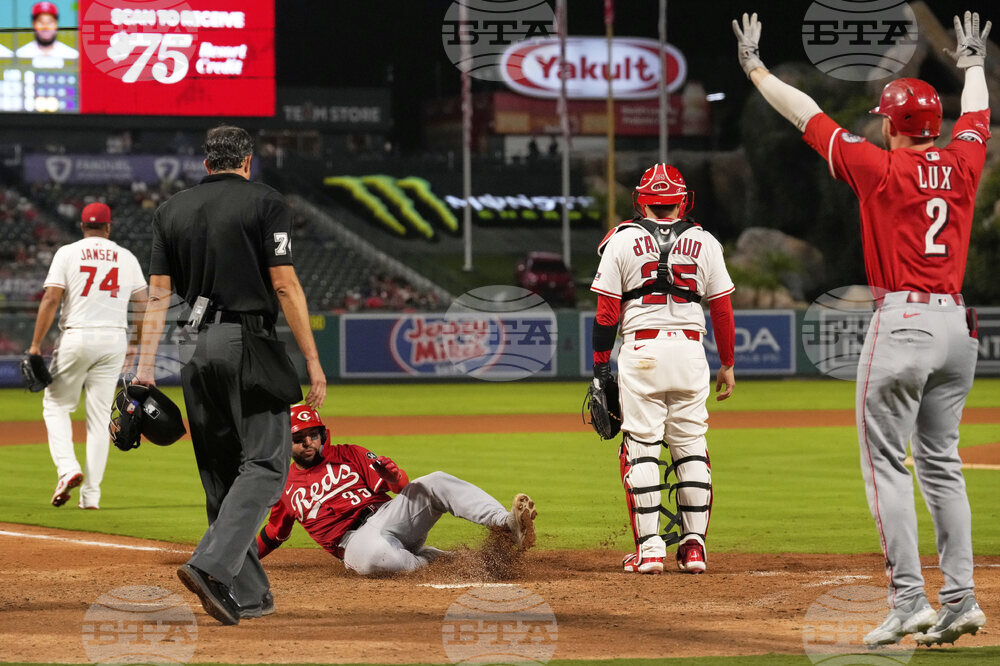 Reds Angels Baseball