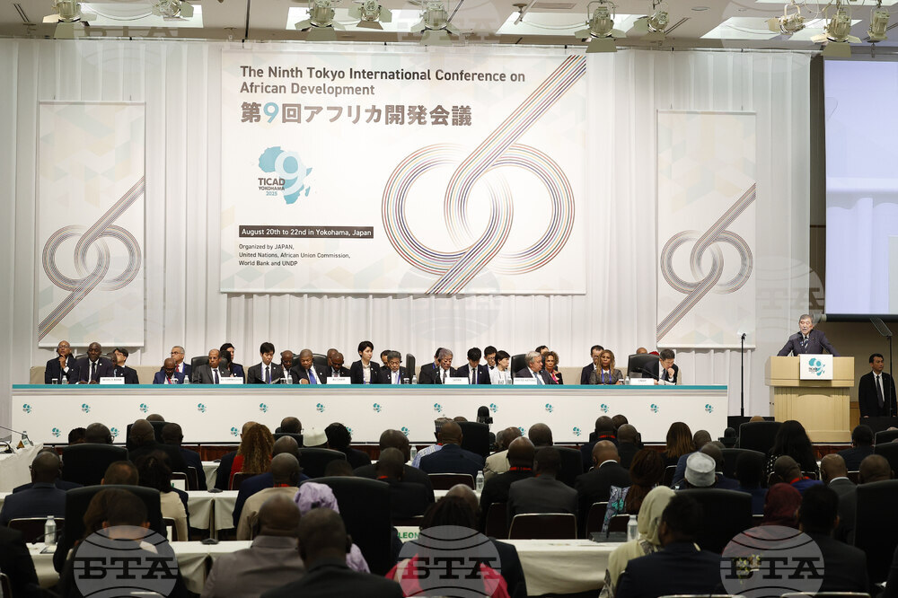 Japan Africa Summit