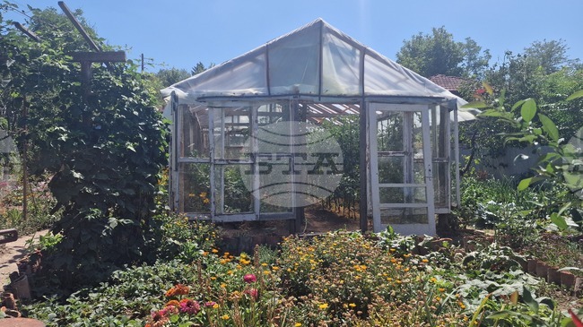 Стопаните, произвеждащи оранжерийна продукция, картофи, тютюн, култивирани гъби и маслодайна роза, получиха близо 14 млн. лева по „де минимис“