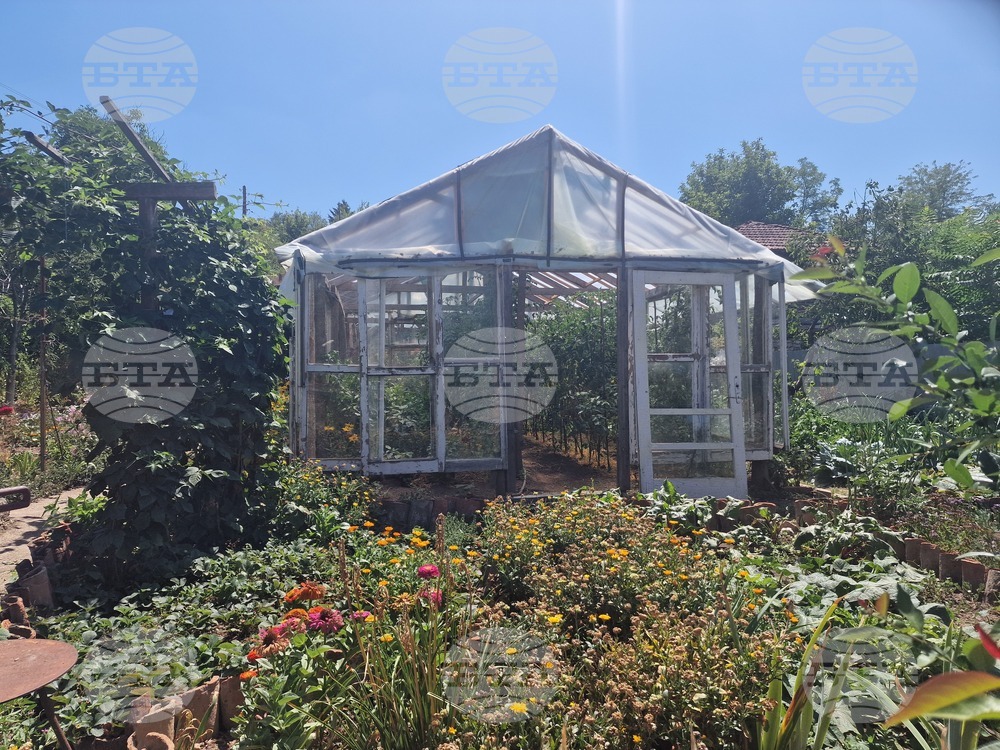 Стопаните, произвеждащи оранжерийна продукция, картофи, тютюн, култивирани гъби и маслодайна роза, получиха близо 14 млн. лева по „де минимис“