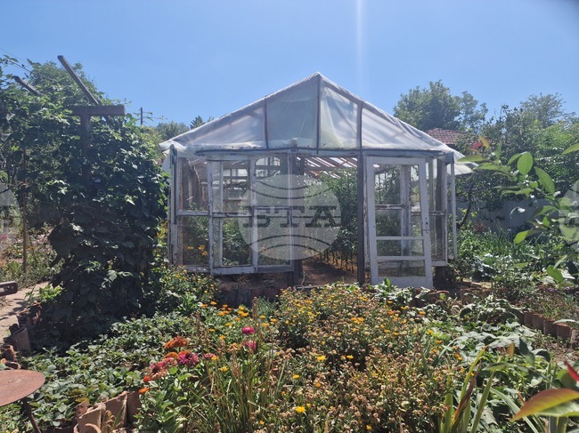 Стопаните, произвеждащи оранжерийна продукция, картофи, тютюн, култивирани гъби и маслодайна роза, получиха близо 14 млн. лева по „де минимис“