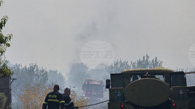 Пожарникари спасиха 300 декара посеви и 600 декара гора при пожари в Сливенско 