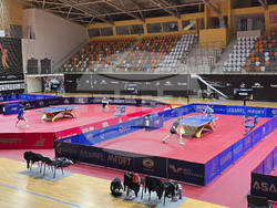 Панагюрище - Зала Арена Асарел - турнир по тенис на маса „Асарел България Оупън“