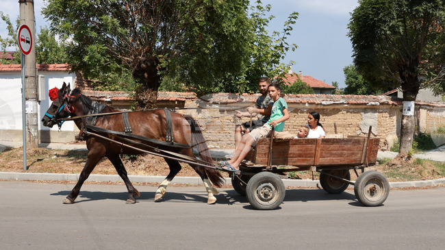 ХИНА: Случай на фемицид в Хърватия постави отново въпроса за интеграцията на ромската общност