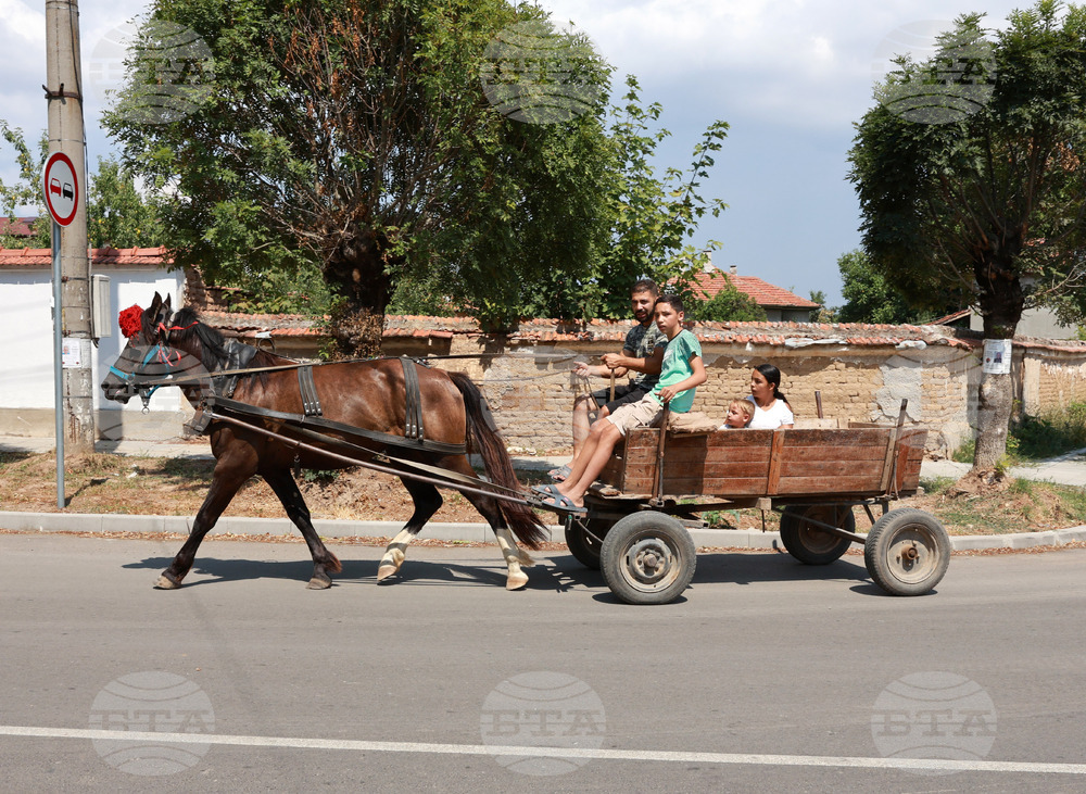 ХИНА: Случай на фемицид в Хърватия постави отново въпроса за интеграцията на ромската общност
