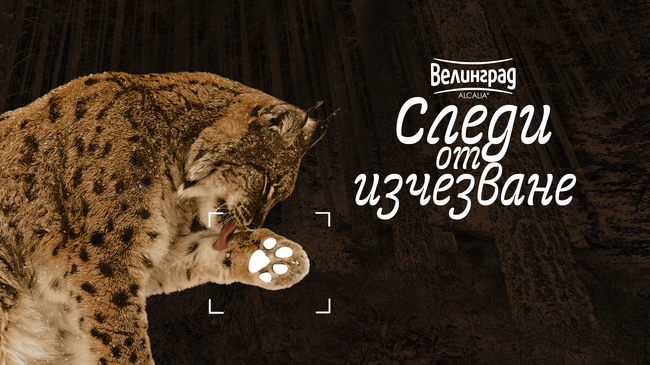 Зоопарк Стара Загора става домакин на пътуващата изложба „Следи от изчезване“