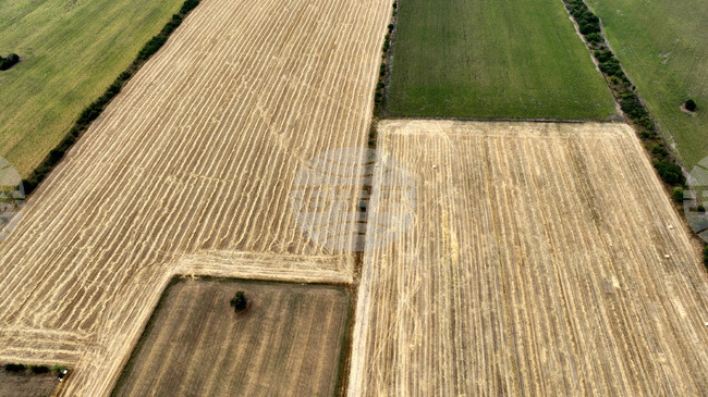 Правителството в оставка актуализира Тарифата за таксите по поземлена собственост у нас в съответствие с изискванията за еврото