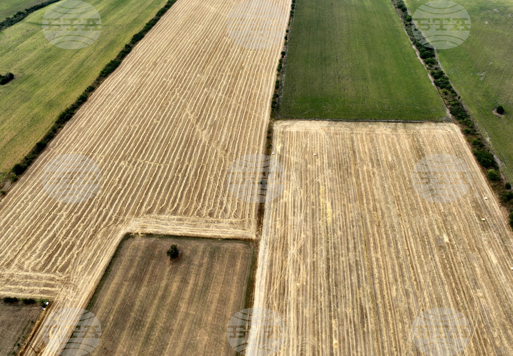 Българската асоциация на собствениците на земеделски земи се обявява против исканията за оставки в ръководството на земеделското министерство