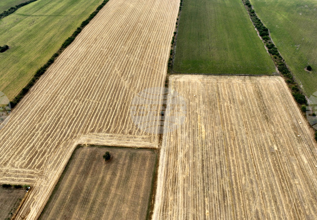 Българската асоциация на собствениците на земеделски земи се обявява против исканията за оставки в ръководството на земеделското министерство