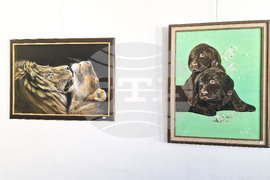 Троян - изложба на художничката Марина Димитрова- галерия "Серякова къща"