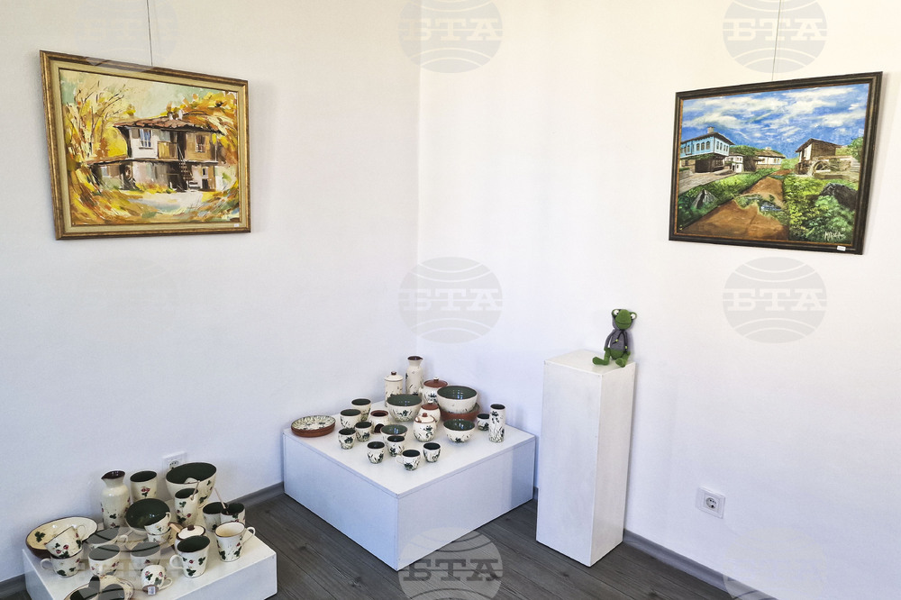 Троян - изложба на художничката Марина Димитрова- галерия "Серякова къща"