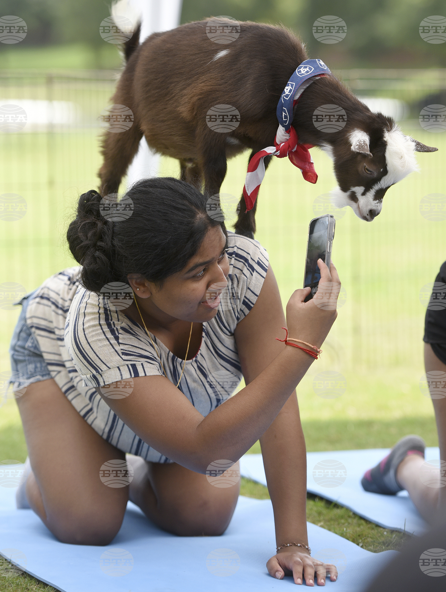 Tennessee Goat Yoga