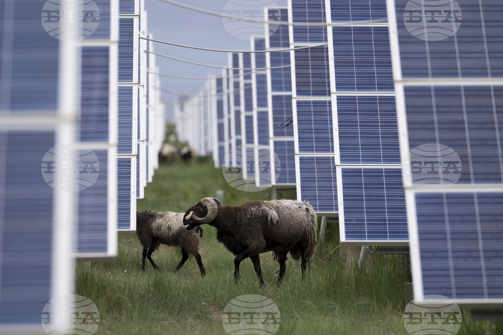 Climate China Solar