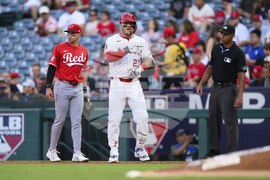 Reds Angels Baseball