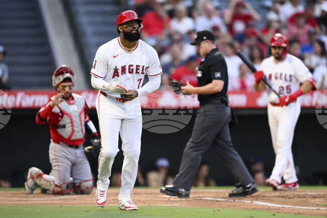 Reds Angels Baseball