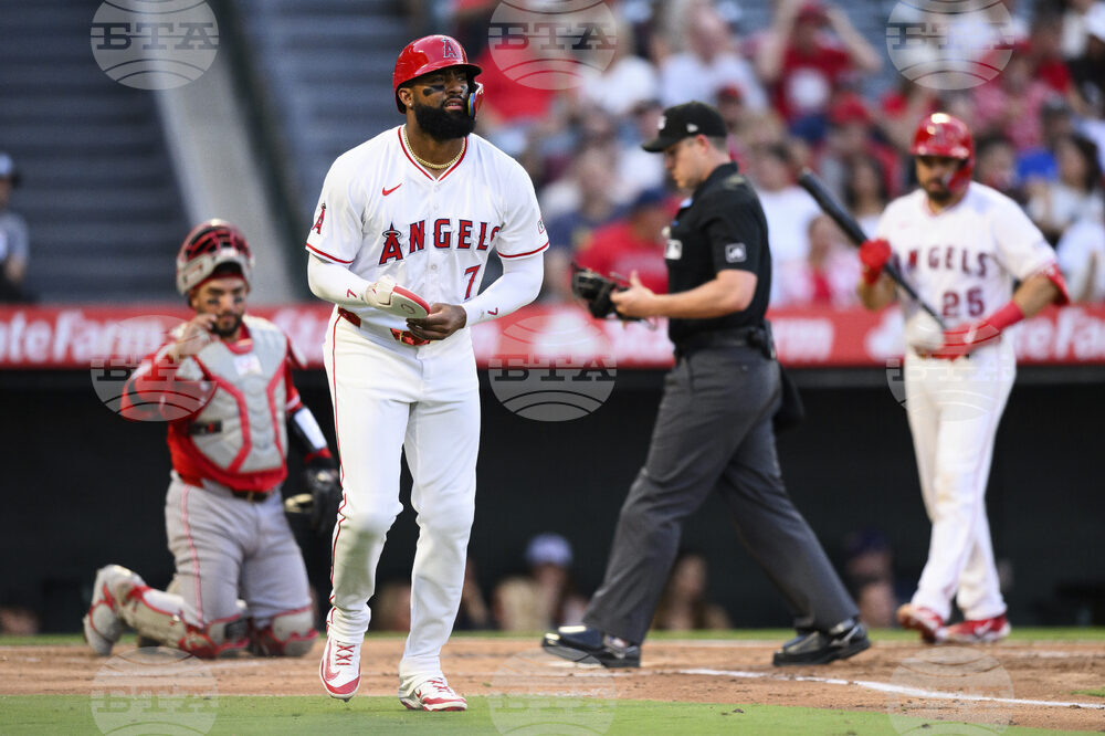 Reds Angels Baseball