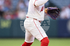 Reds Angels Baseball