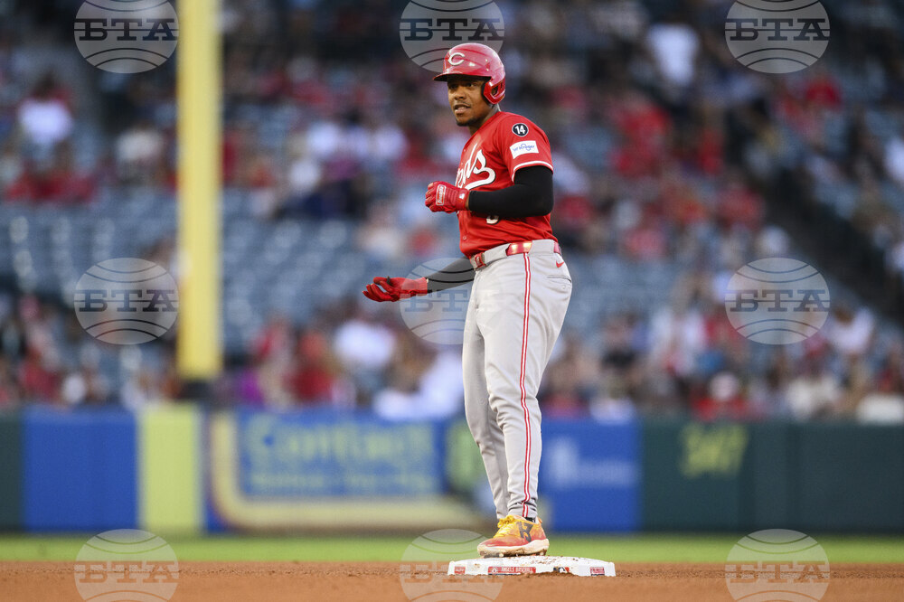 Reds Angels Baseball