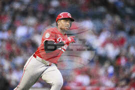 Reds Angels Baseball