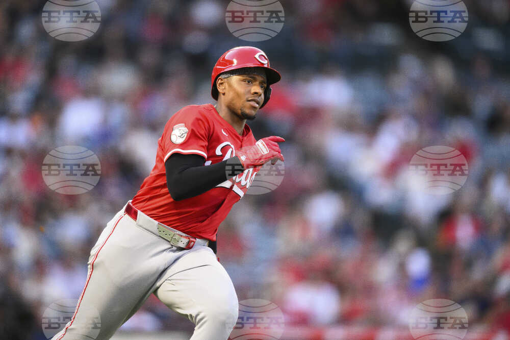 Reds Angels Baseball