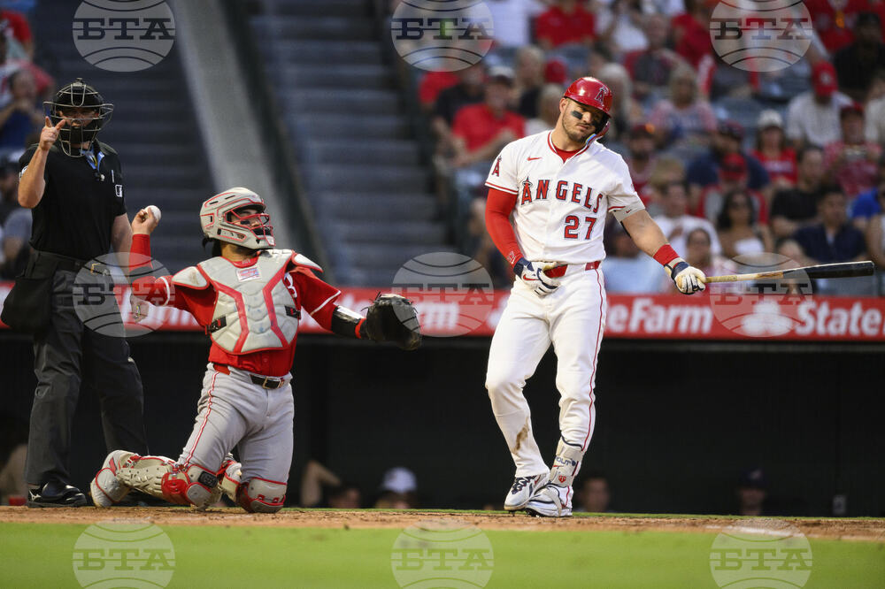 Reds Angels Baseball