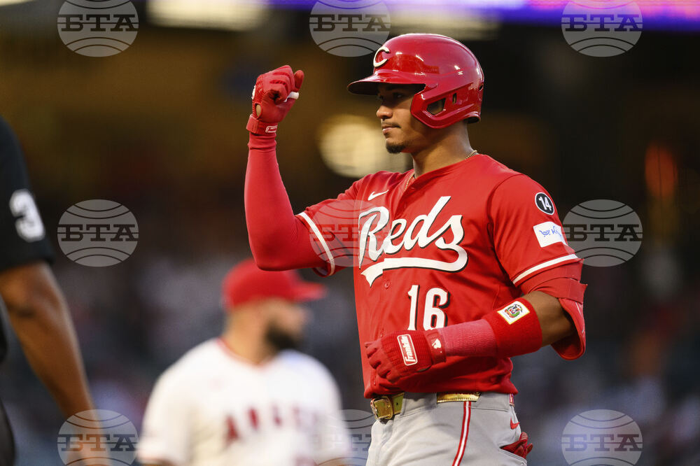 Reds Angels Baseball