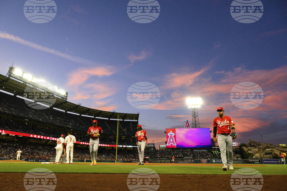 Reds Angels Baseball