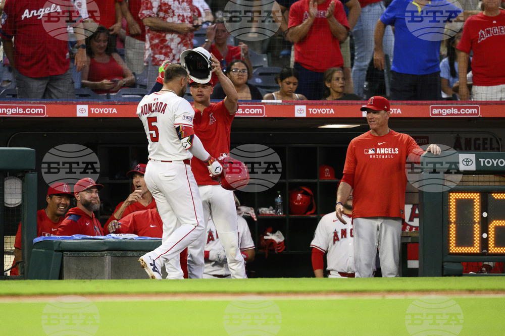 Reds Angels Baseball